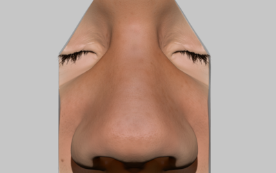 Nose Sculpt