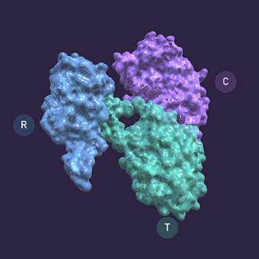 Unity Demo – Diphtheria