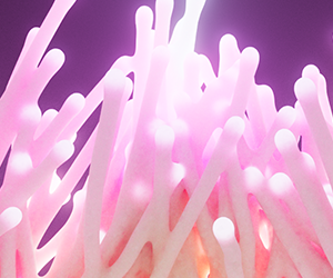 Daily C4D – Day 3
